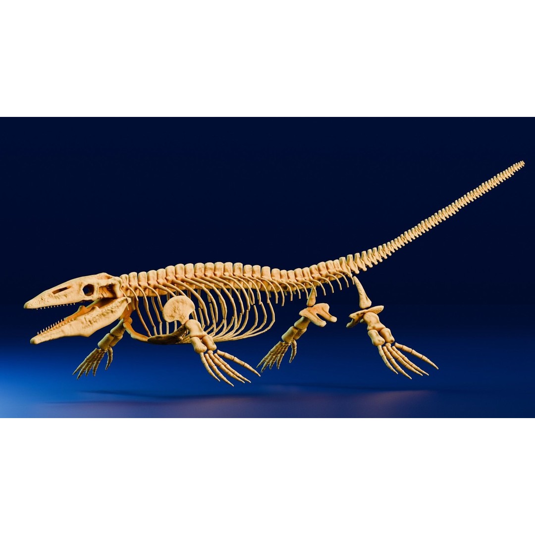 Mosasaurus 3D Model – Realistic Low-Poly Fossil for Animation - View 3