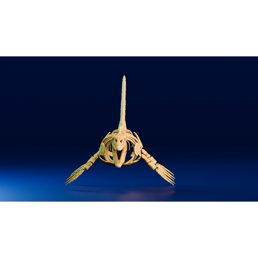 Mosasaurus 3D Model – Realistic Low-Poly Fossil for Animation - View 6