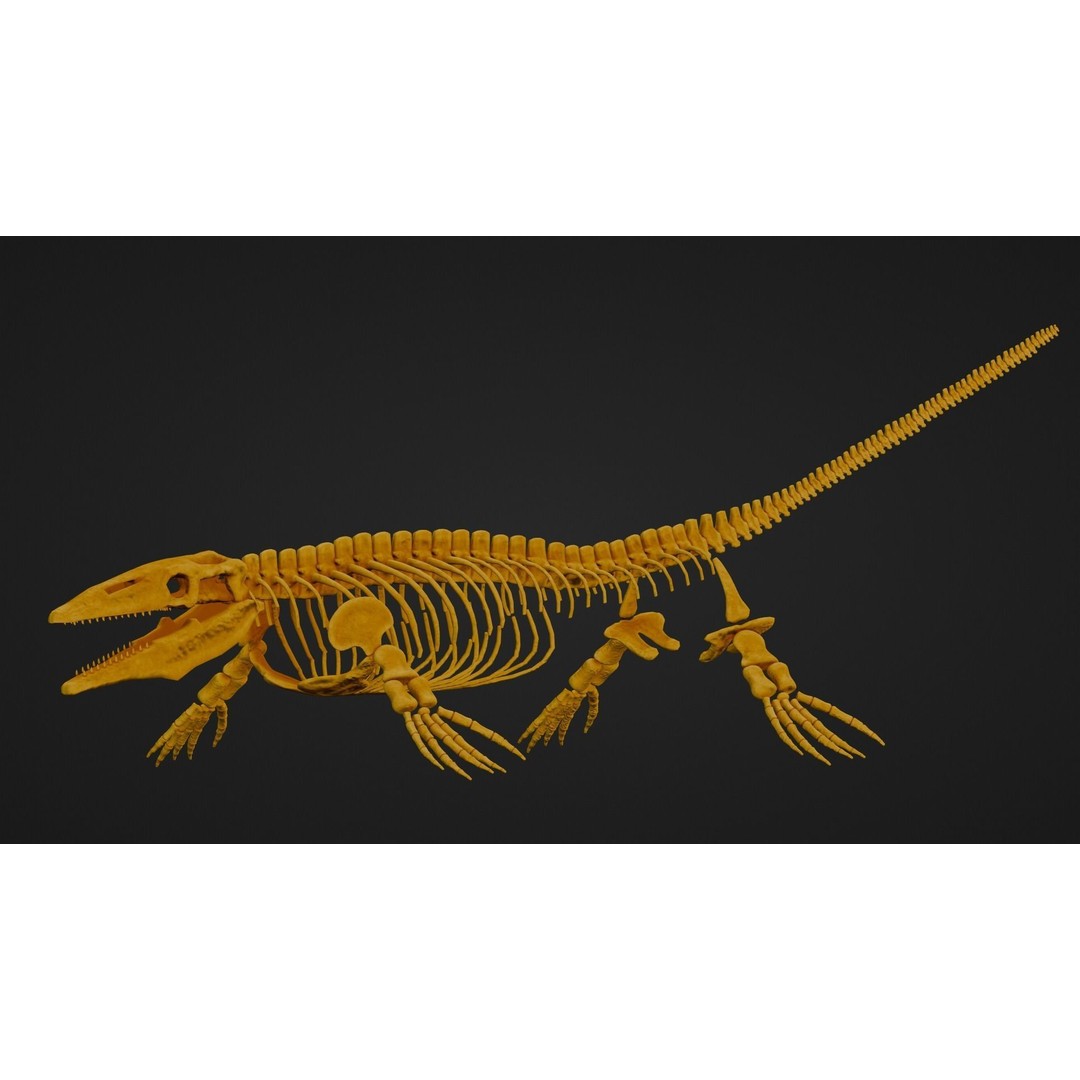 Mosasaurus 3D Model – Realistic Low-Poly Fossil for Animation - View 8