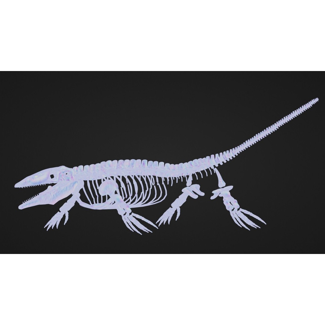 Mosasaurus 3D Model – Realistic Low-Poly Fossil for Animation - View 9