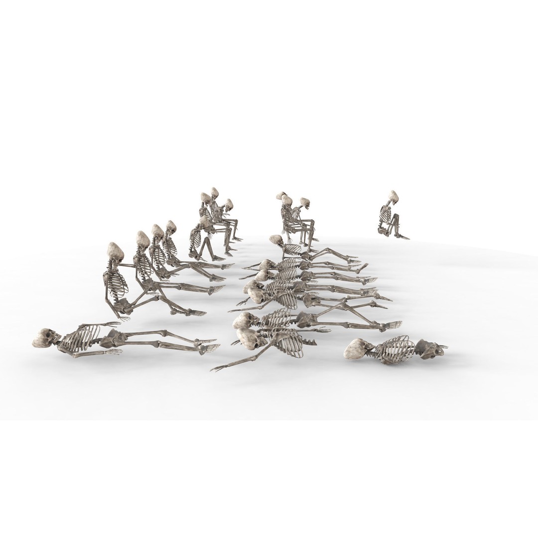 Human Skeleton 3D Model – Low Poly Anatomy Asset, OBJ & C4D - View 14