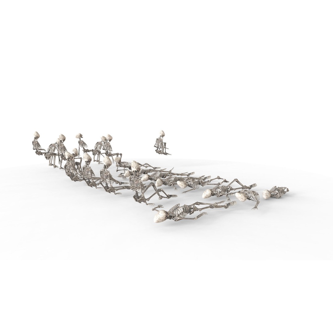 Human Skeleton 3D Model – Low Poly Anatomy Asset, OBJ & C4D - View 15