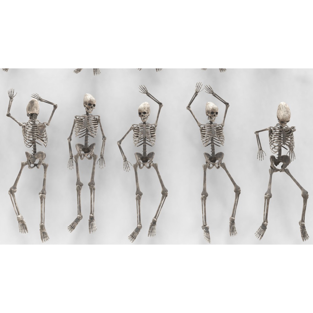 Human Skeleton 3D Model – Low Poly Anatomy Asset, OBJ & C4D - View 7