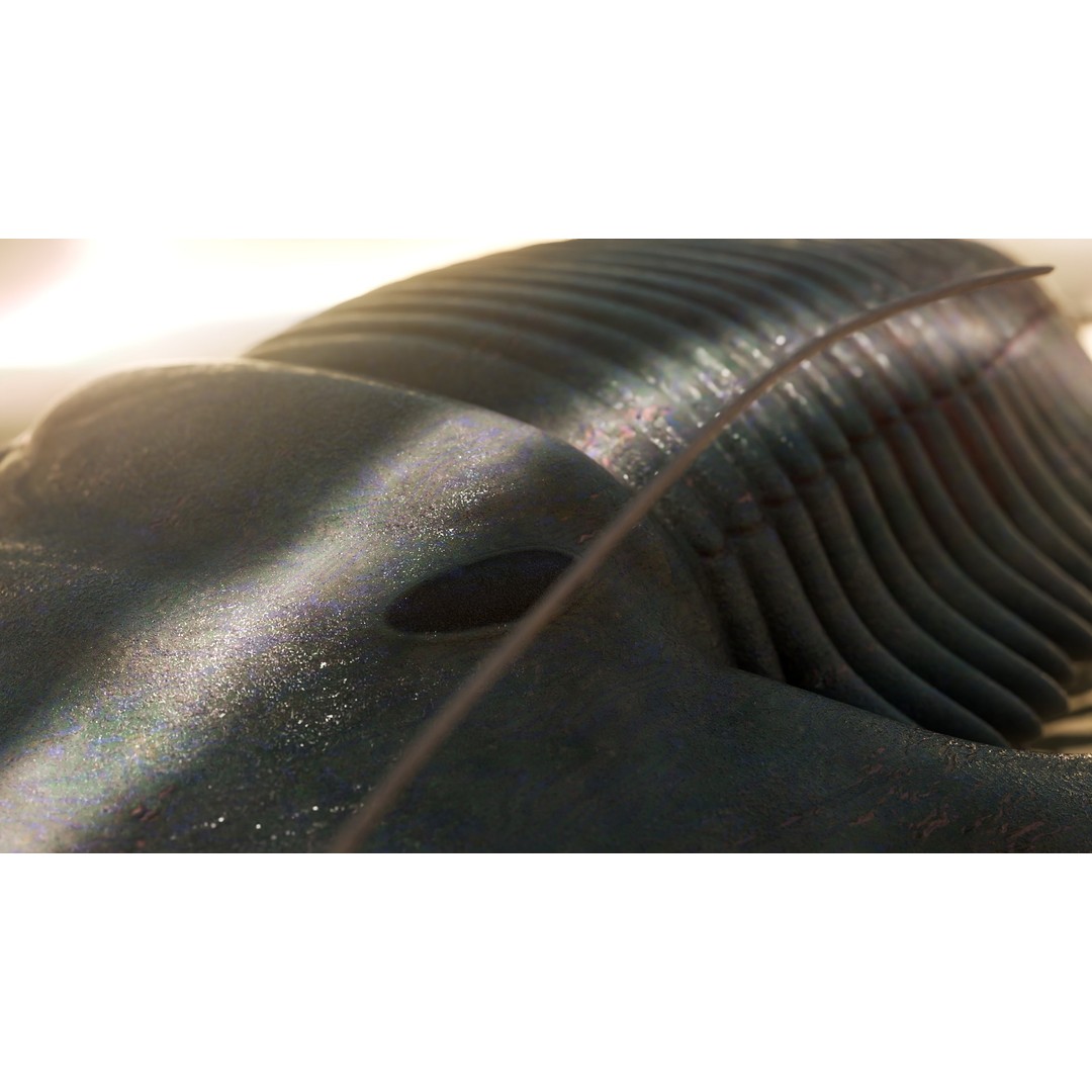 Trilobite 3D Model – Low Poly Rigged Asset with PBR Textures, Blender - View 10
