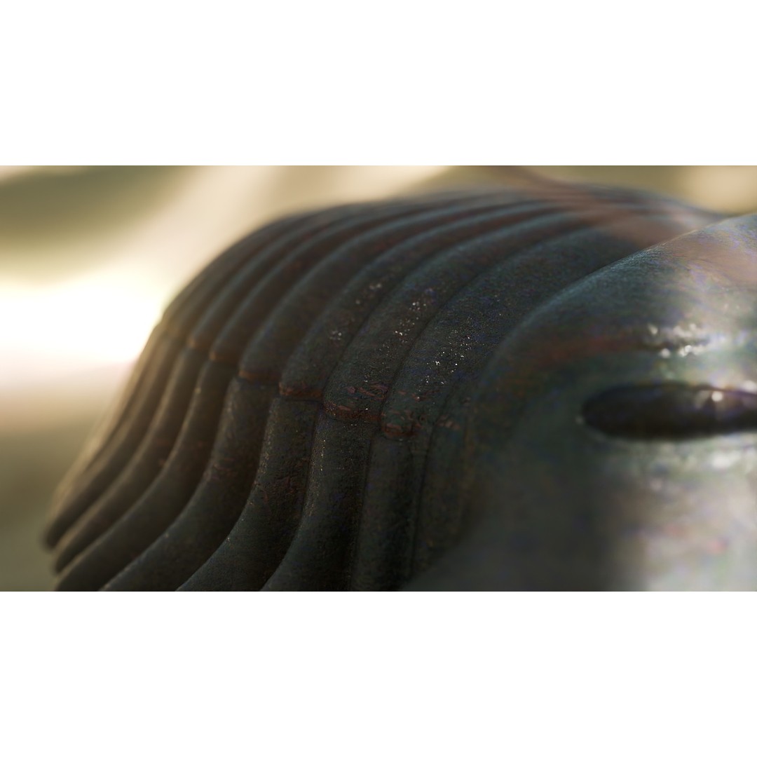 Trilobite 3D Model – Low Poly Rigged Asset with PBR Textures, Blender - View 11
