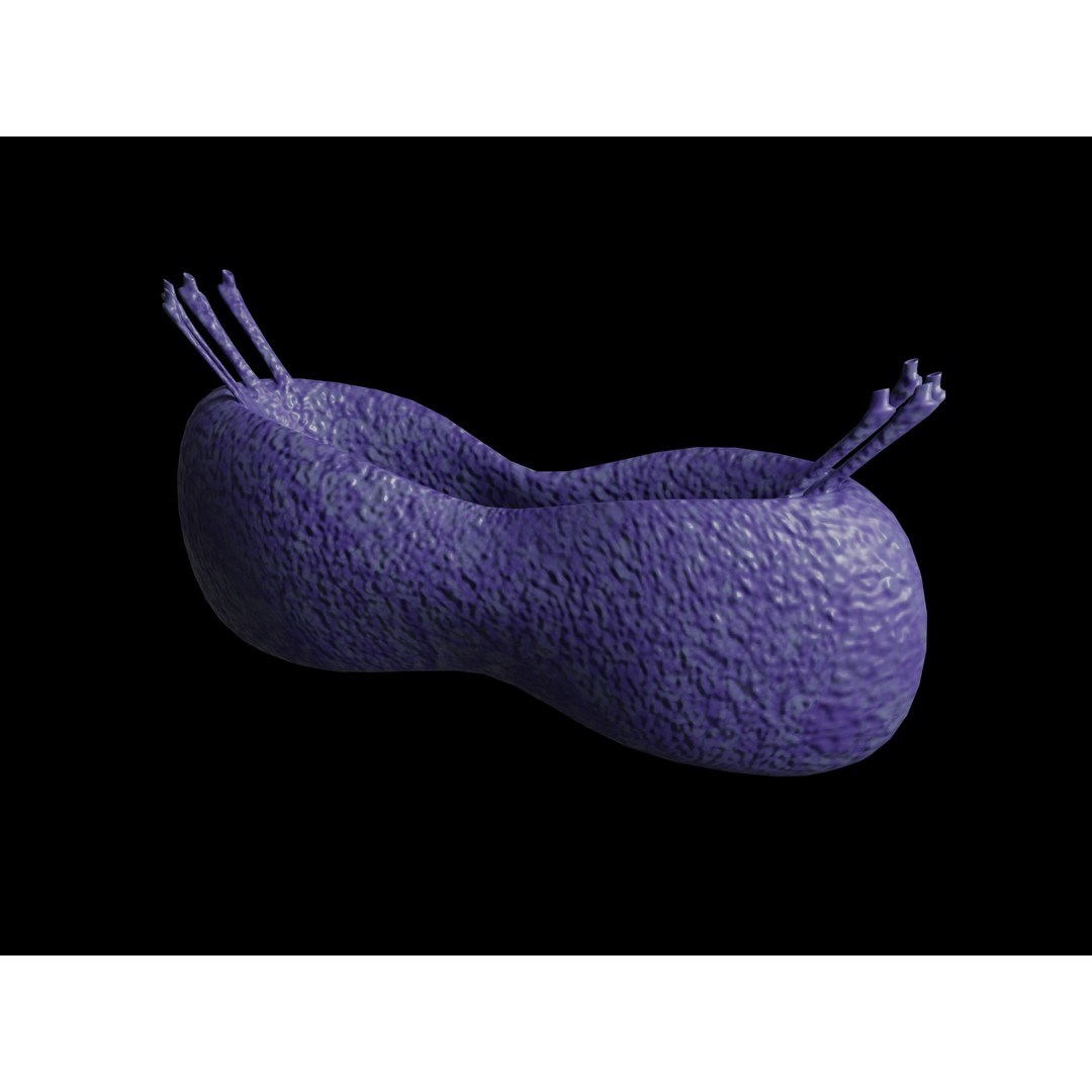 Virus and Cell 3D Model – Low Poly Medical Visualization, FBX, OBJ - View 12