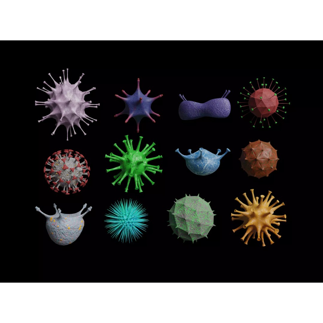 Virus and Cell 3D Model – Low Poly Medical Visualization, FBX, OBJ - View 2