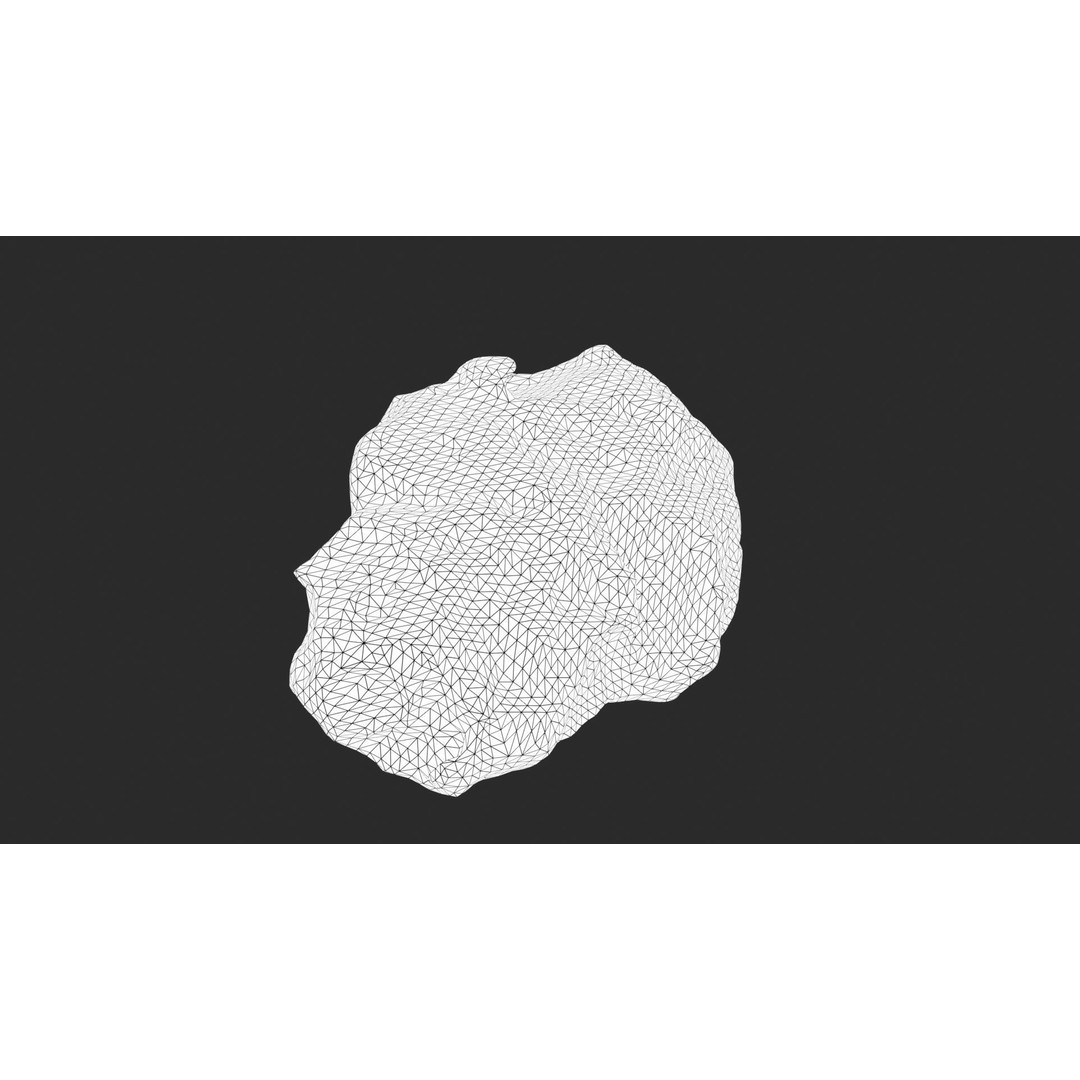 Asteroids 3D Model – Low Poly Bundle with PBR Textures, FBX, OBJ - View 27