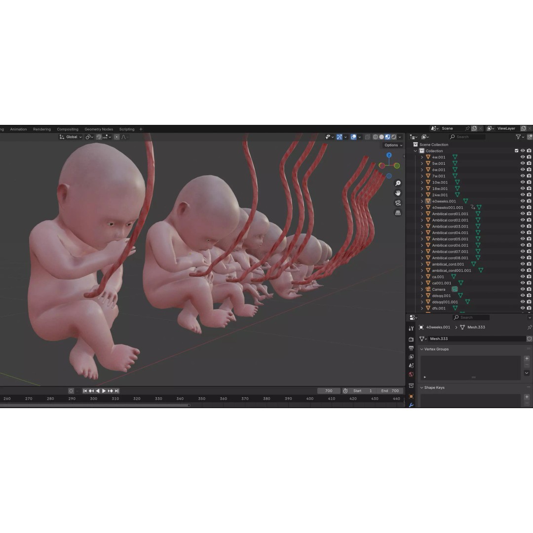 Animated Human Fetus 3D Model – Low Poly Rigged Asset, FBX, Blender