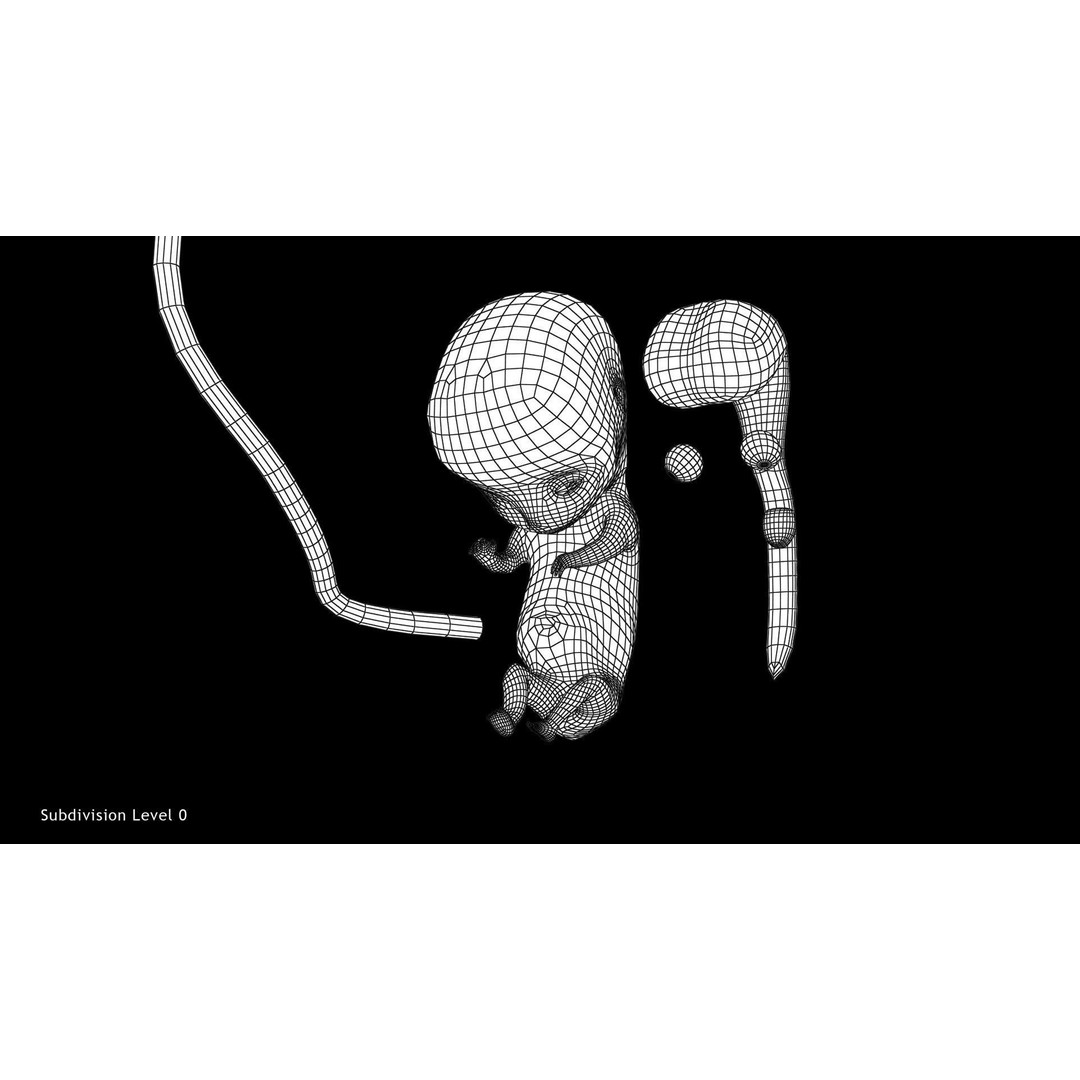 Animated Human Fetus 3D Model – Low Poly Rigged Asset, FBX, Blender - View 31