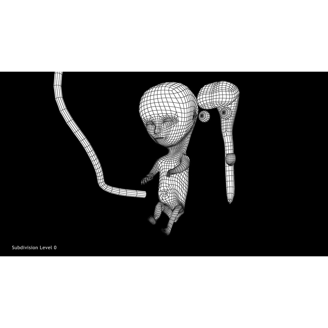 Animated Human Fetus 3D Model – Low Poly Rigged Asset, FBX, Blender - View 37