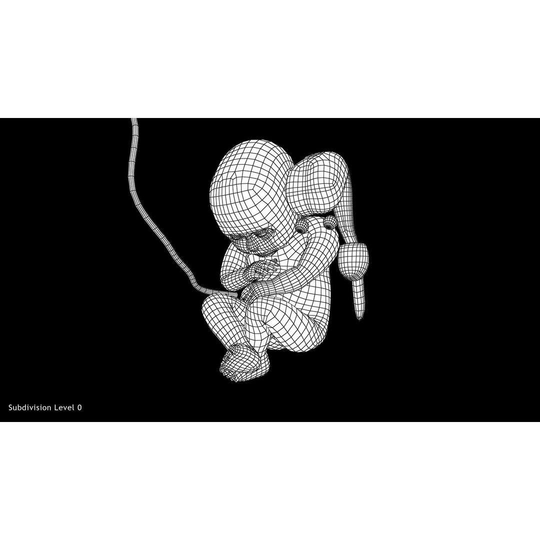 Animated Human Fetus 3D Model – Low Poly Rigged Asset, FBX, Blender - View 41