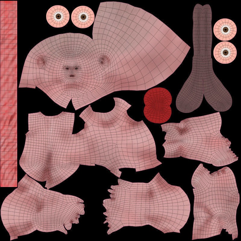 Animated Human Fetus 3D Model – Low Poly Rigged Asset, FBX, Blender - View 54
