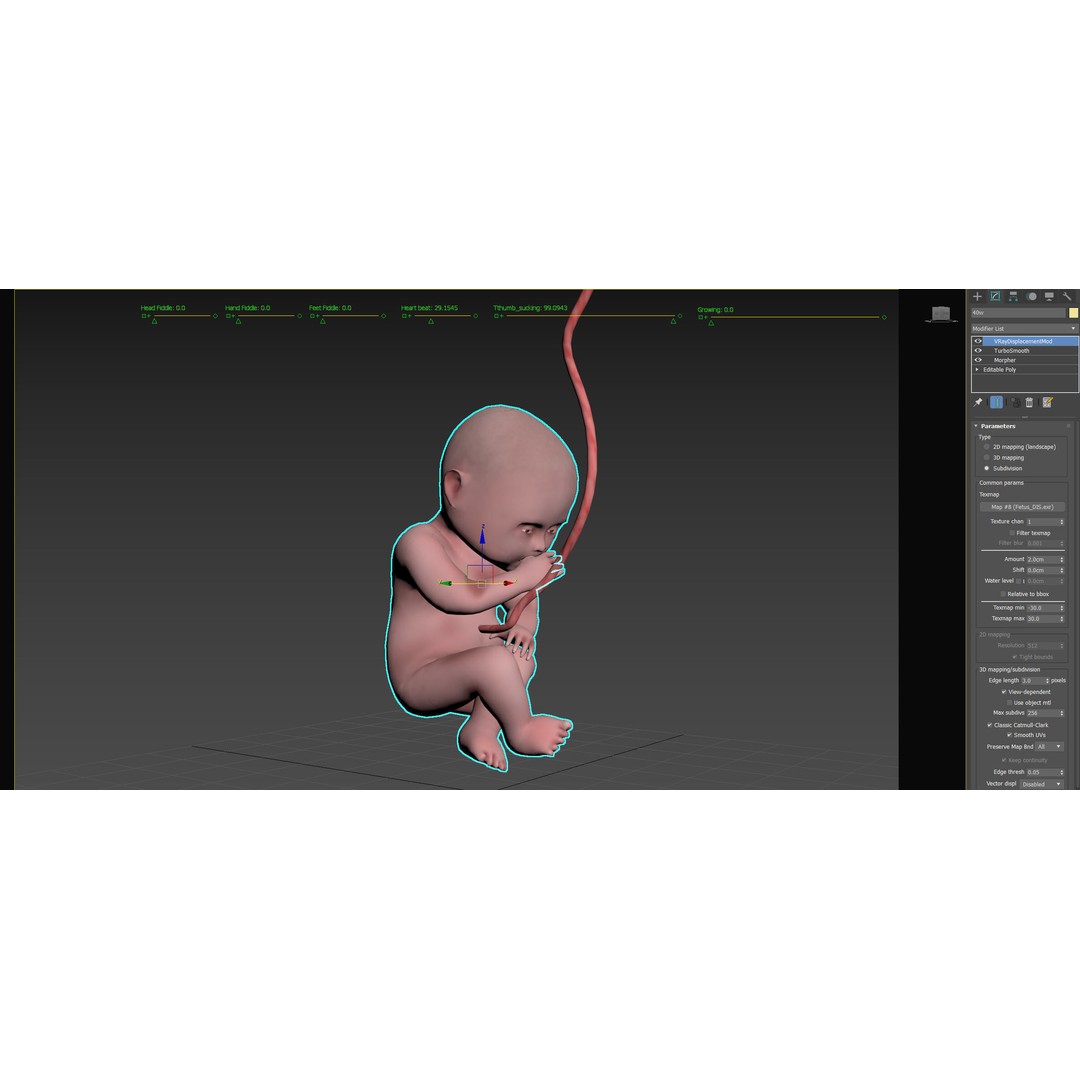 Animated Human Fetus 3D Model – Low Poly Rigged Asset, FBX, Blender - View 55