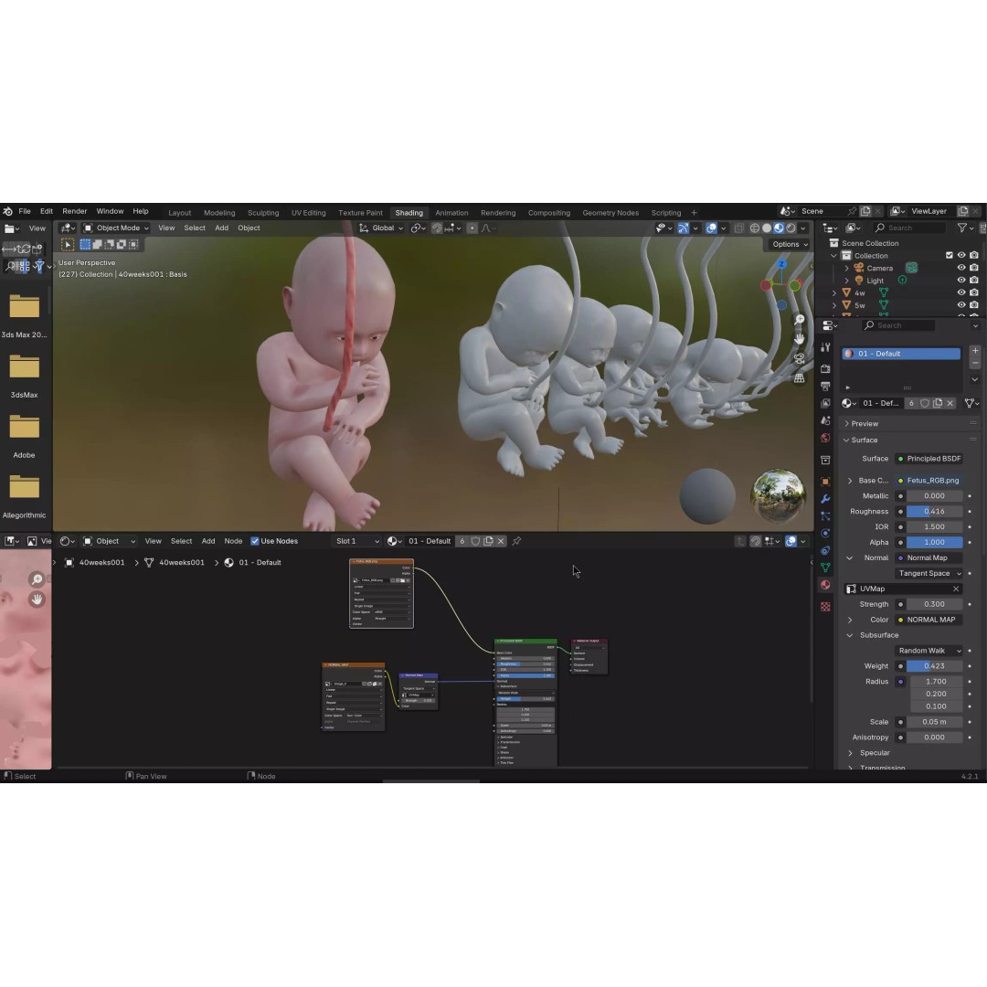 Animated Human Fetus 3D Model – Low Poly Rigged Asset, FBX, Blender - View 56