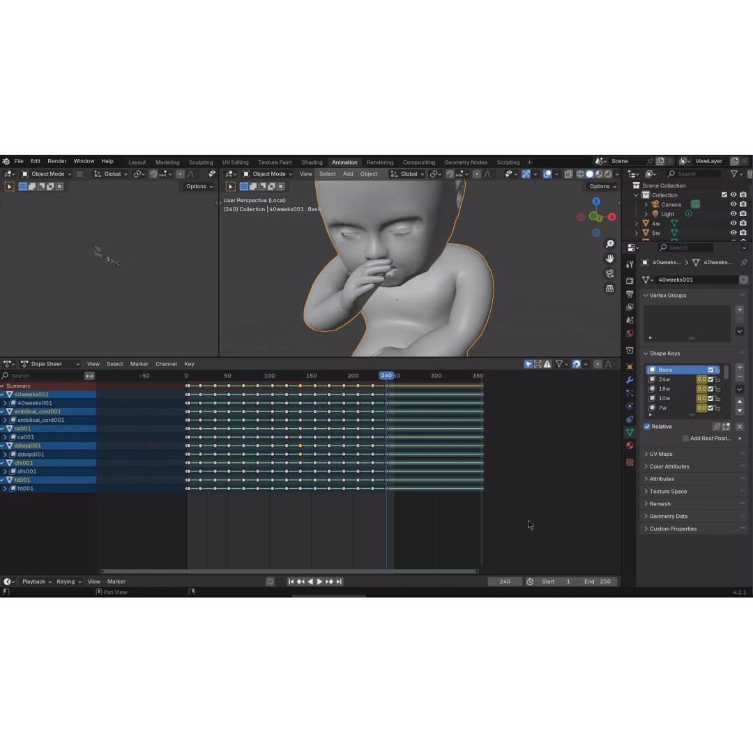 Animated Human Fetus 3D Model – Low Poly Rigged Asset, FBX, Blender - View 57