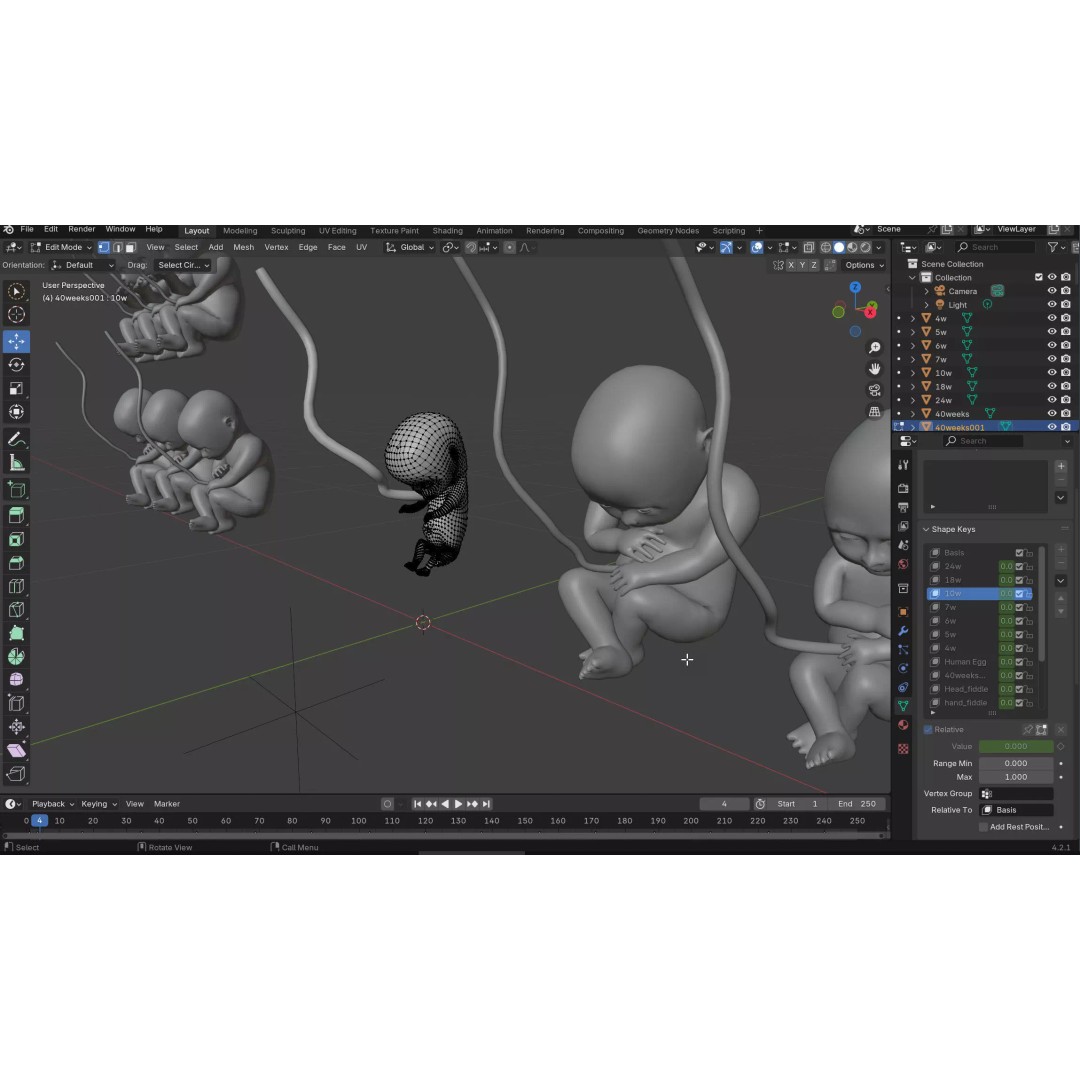 Animated Human Fetus 3D Model – Low Poly Rigged Asset, FBX, Blender - View 59