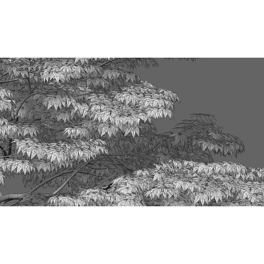 Acer Palmatum 3D Model – Japanese Maple Tree with PBR Materials