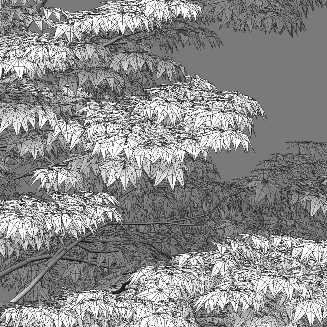Acer Palmatum 3D Model – Japanese Maple Tree with PBR Materials - View 8