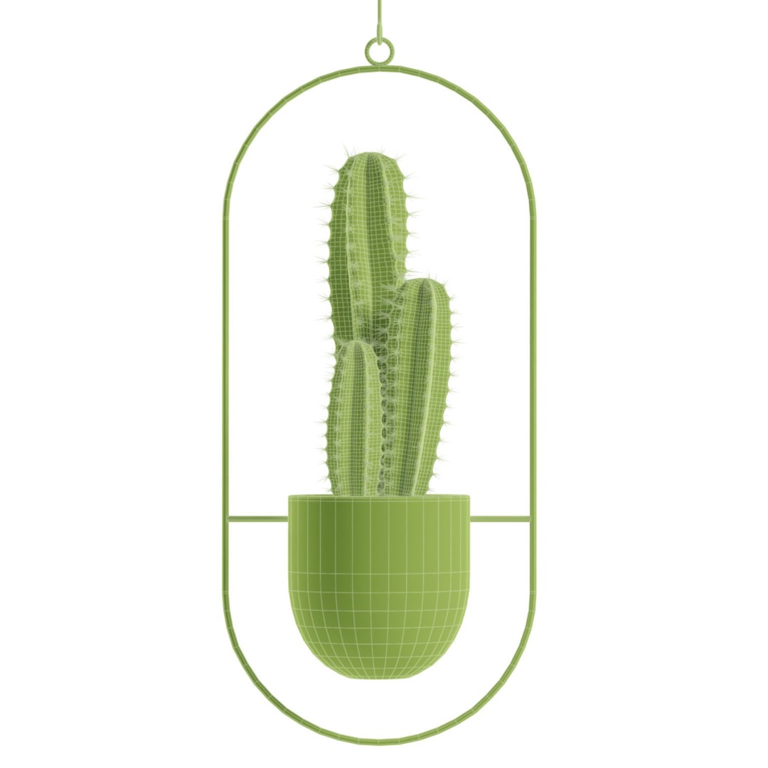 Hanging Plants 03 3D Model – Exotic Indoor Pot Plants, PBR Textures