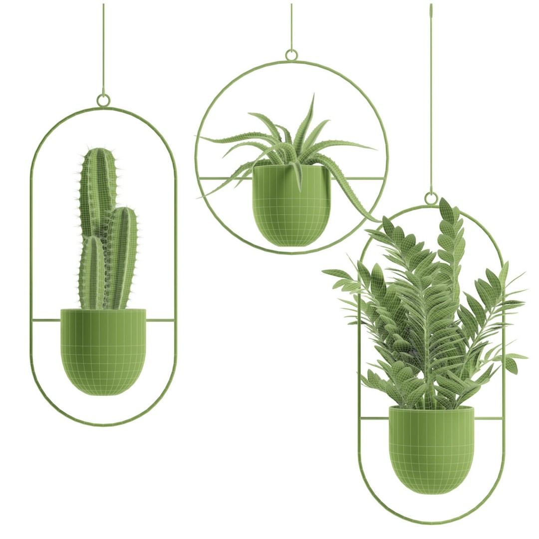 Hanging Plants 03 3D Model – Exotic Indoor Pot Plants, PBR Textures - View 4