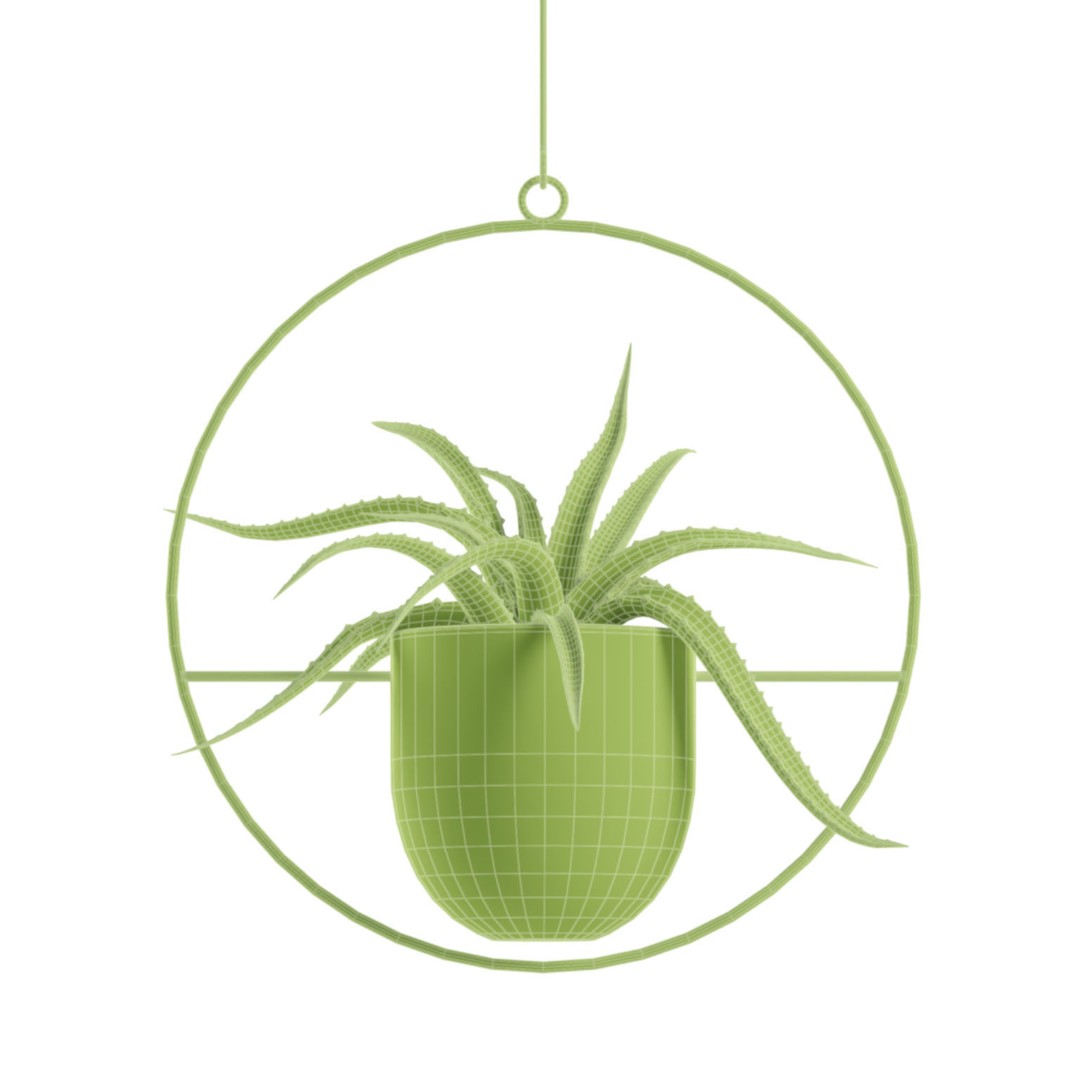 Hanging Plants 03 3D Model – Exotic Indoor Pot Plants, PBR Textures - View 6