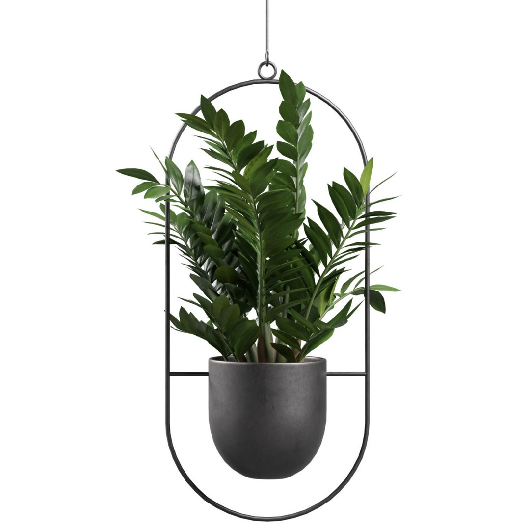 Hanging Plants 03 3D Model – Exotic Indoor Pot Plants, PBR Textures - View 7