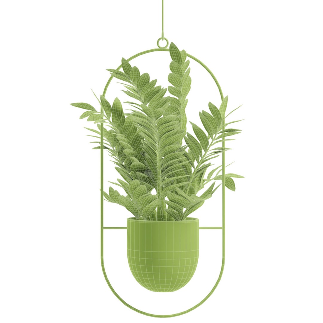 Hanging Plants 03 3D Model – Exotic Indoor Pot Plants, PBR Textures - View 8