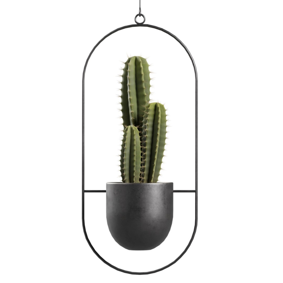Hanging Plants 03 3D Model – Exotic Indoor Pot Plants, PBR Textures - View 9