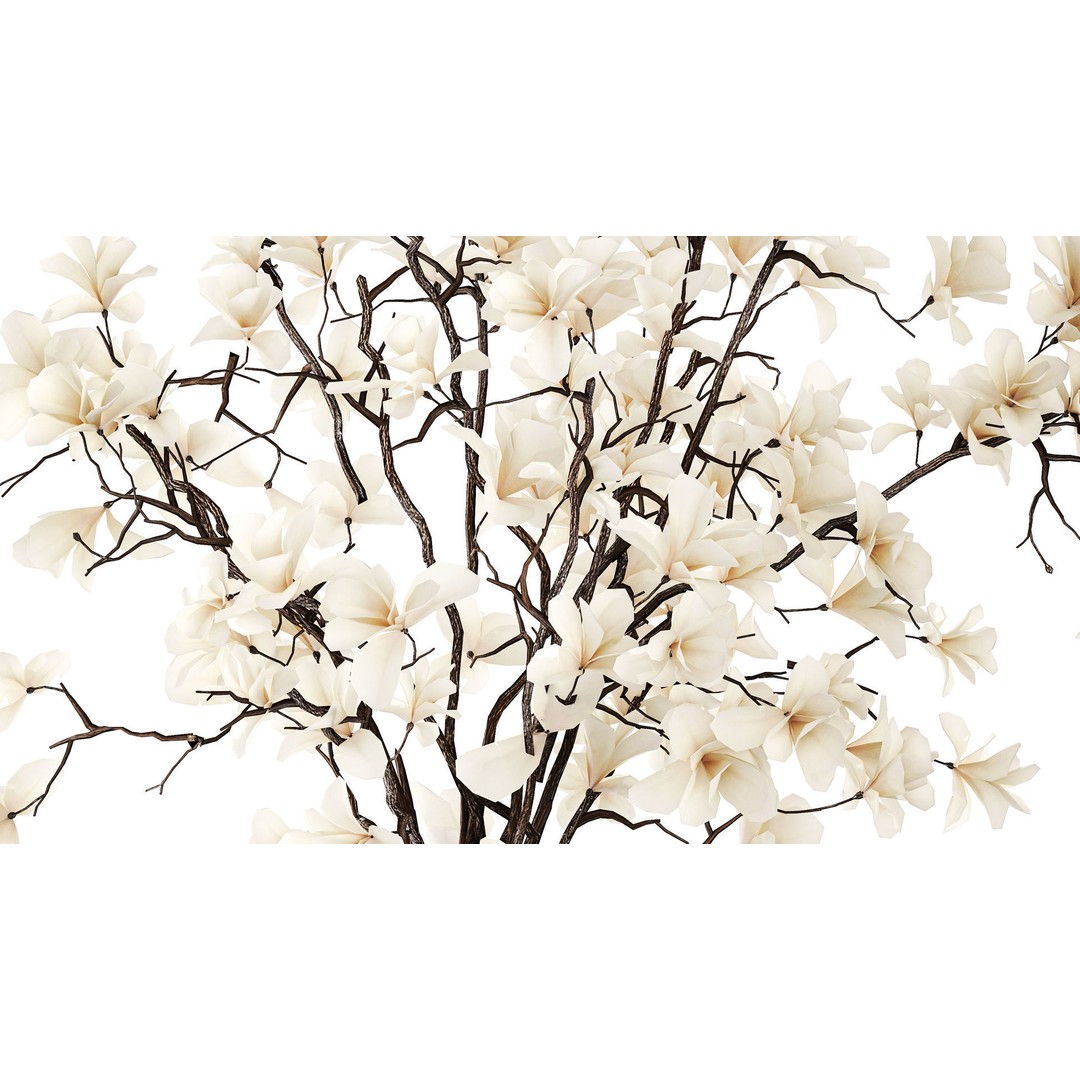 Magnolia Bouquet 3D Model – Beautiful White Flowers in Glass Vase - View 5
