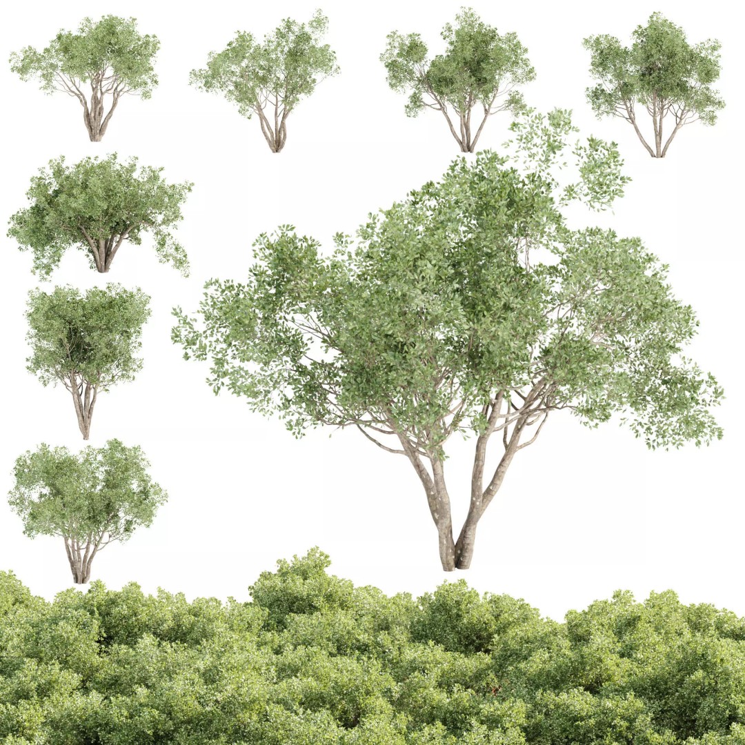 Outdoor Plants 3D Model – PBR Bush Collection, FBX & OBJ - View 2