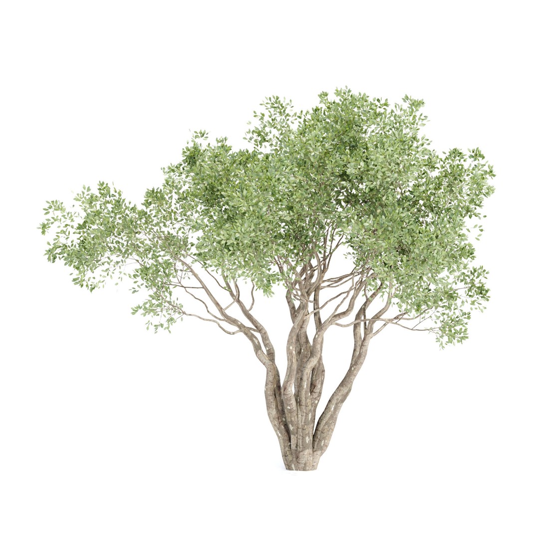 Outdoor Plants 3D Model – PBR Bush Collection, FBX & OBJ - View 7