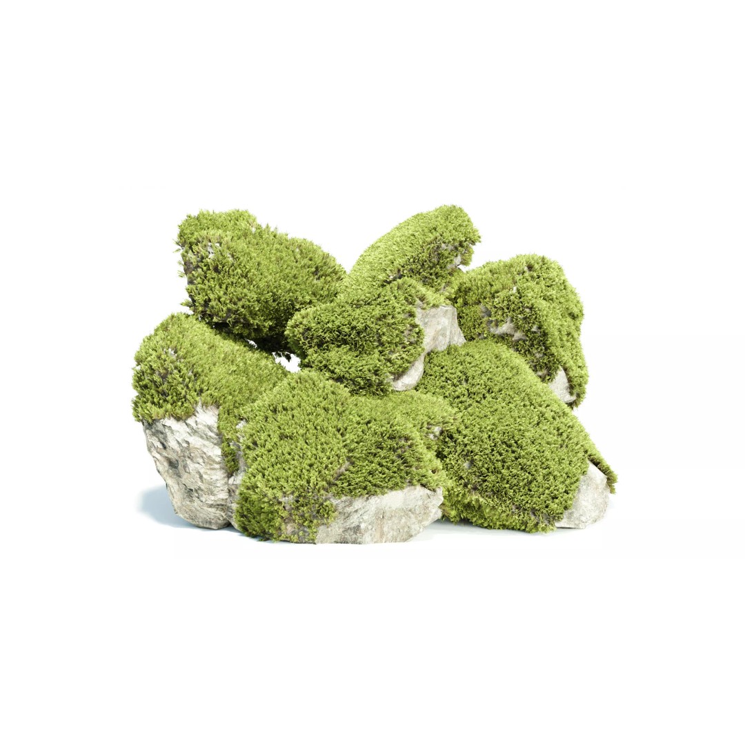 Mossy Rock 3D Model – High Poly Natural Asset, FBX, OBJ, Blender - View 2
