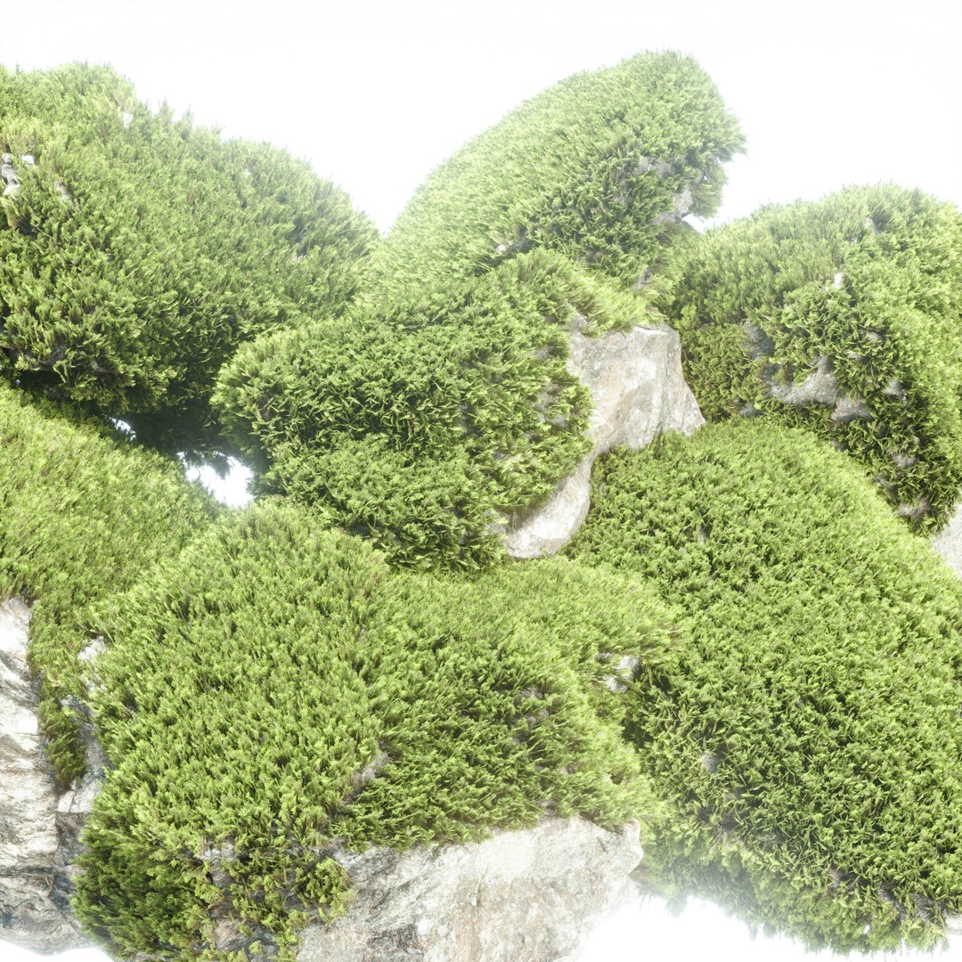 Mossy Rock 3D Model – High Poly Natural Asset, FBX, OBJ, Blender - View 4