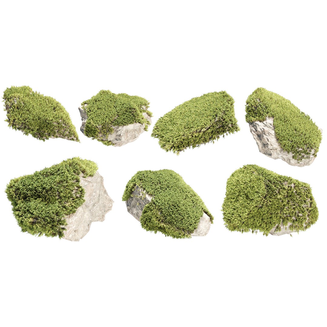 Mossy Rock 3D Model – High Poly Natural Asset, FBX, OBJ, Blender - View 5