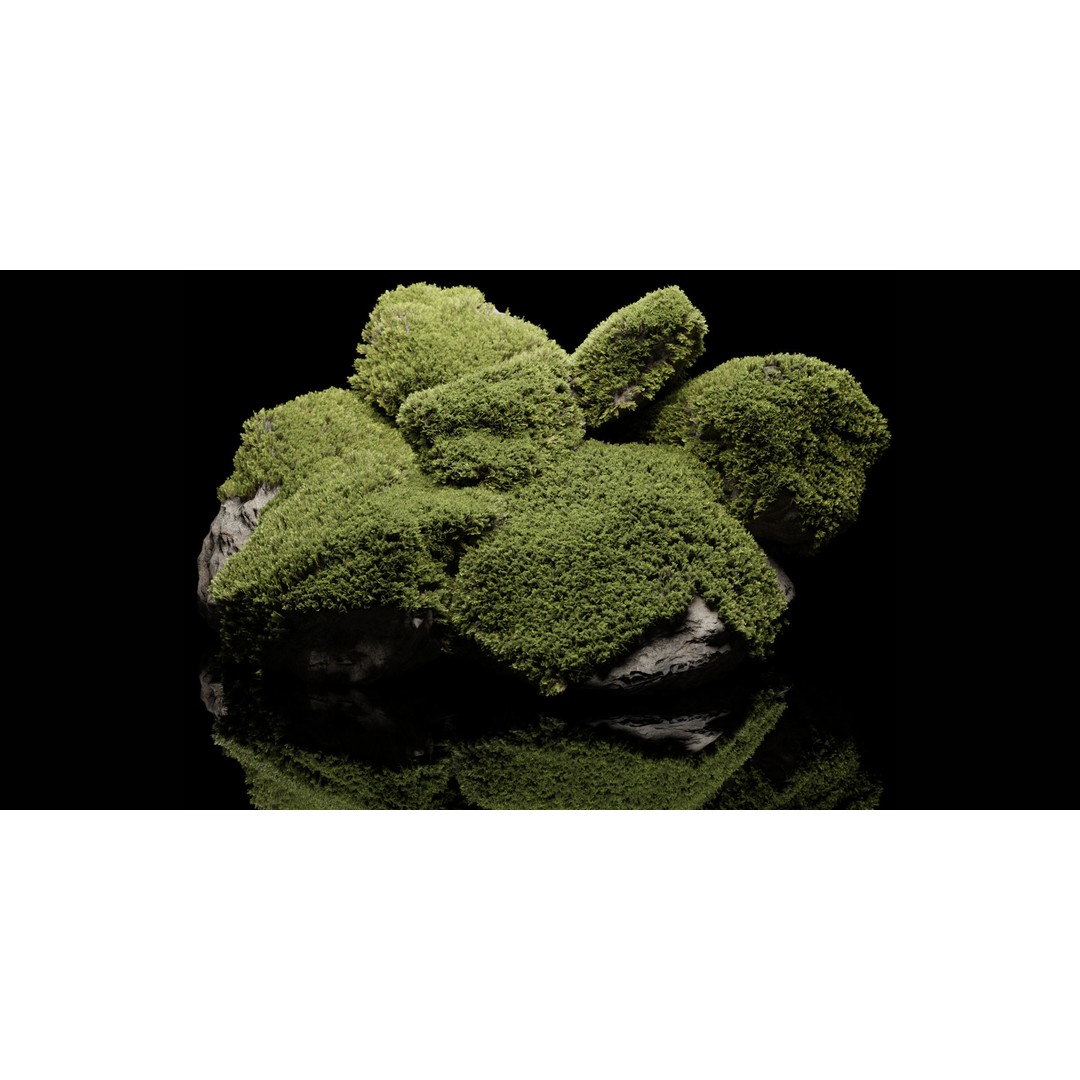 Mossy Rock 3D Model – High Poly Natural Asset, FBX, OBJ, Blender - View 6