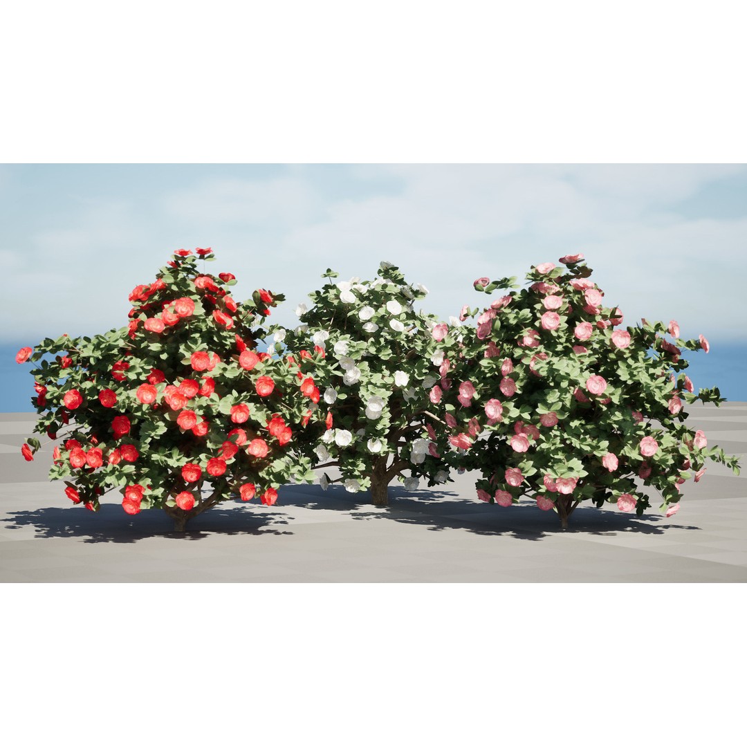 3D Camellia Flower Bush 3D Model – Low Poly PBR Asset for Games and Archviz - View 13