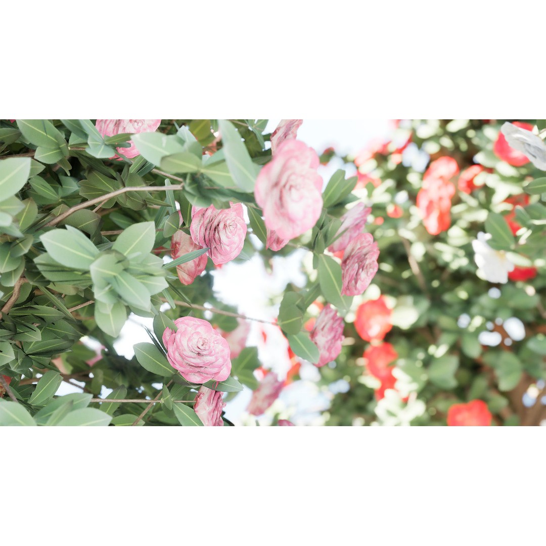 3D Camellia Flower Bush 3D Model – Low Poly PBR Asset for Games and Archviz - View 4