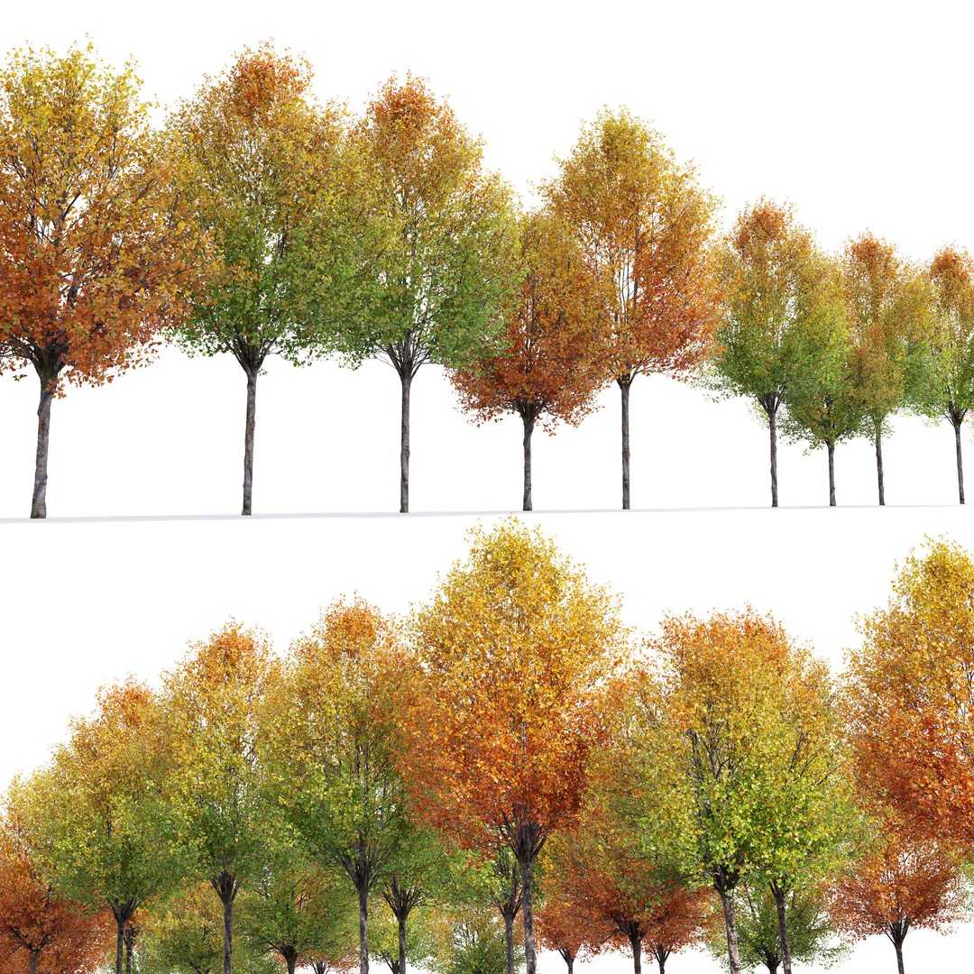 Autumn Pear Tree 3D Model – High Poly Game Asset, FBX, PBR - View 5