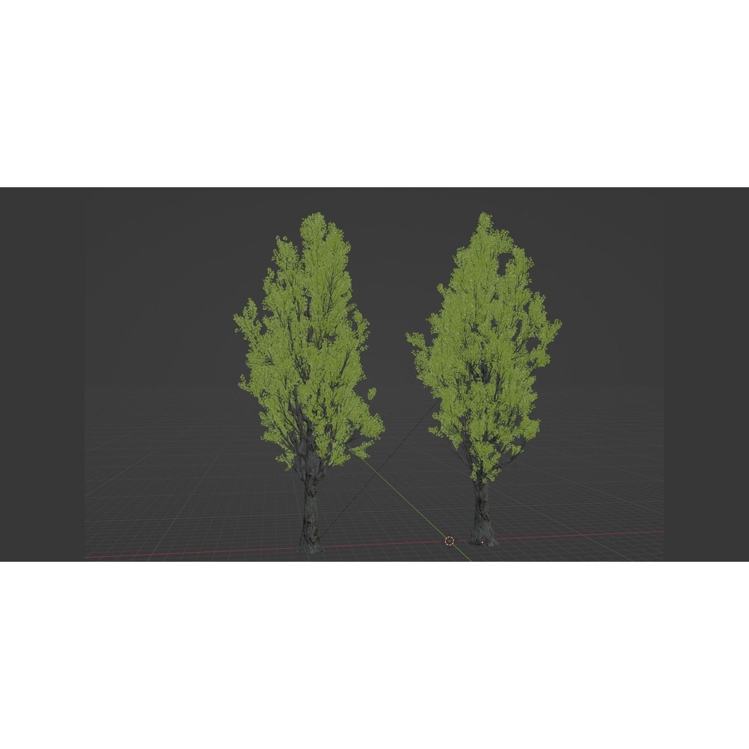 Poplar Trees 3D Model – High Poly PBR Asset for Blender, FBX, OBJ - View 8