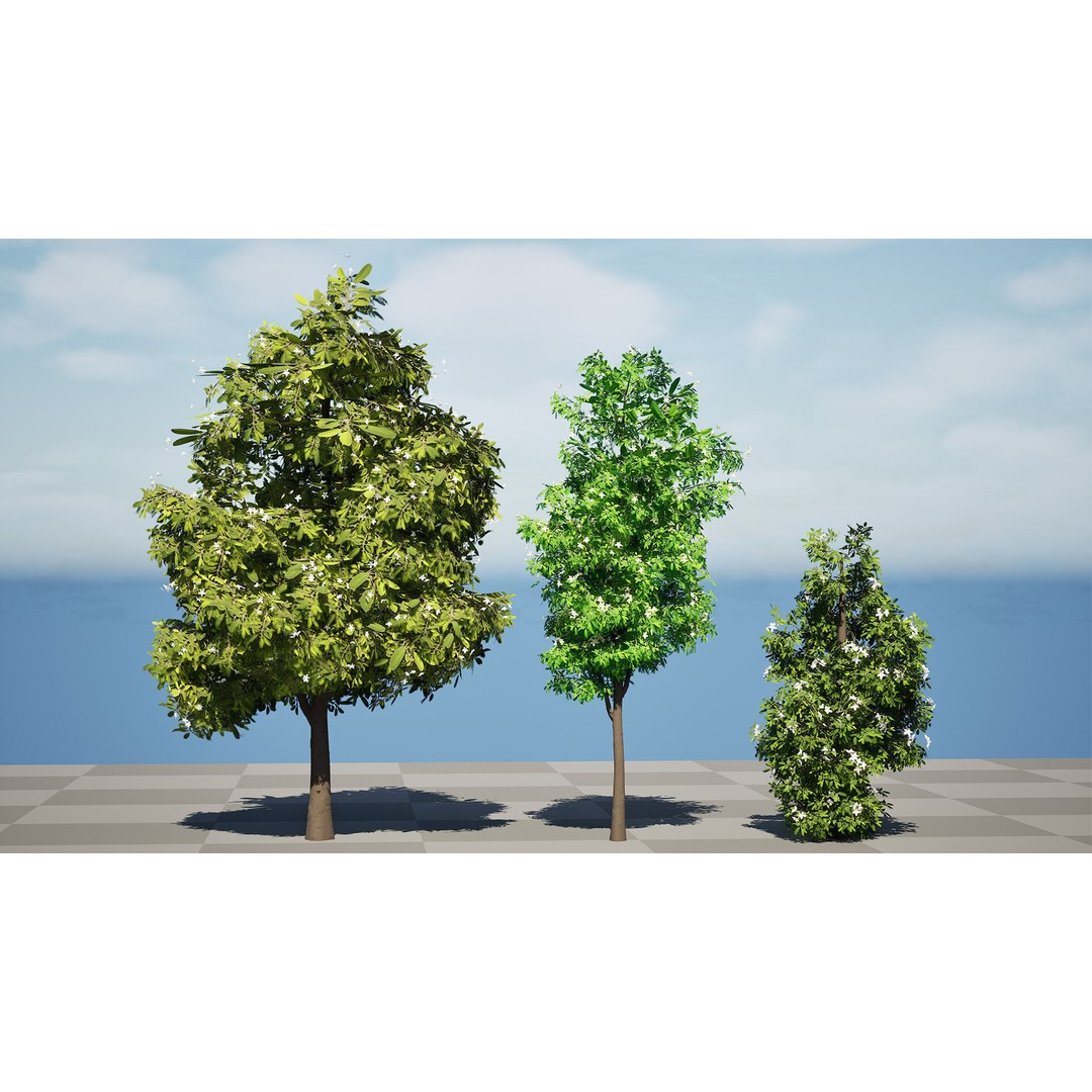 Lemon Myrtle Tree 3D Model – Low Poly Game Asset, PBR, FBX, Blender - View 10