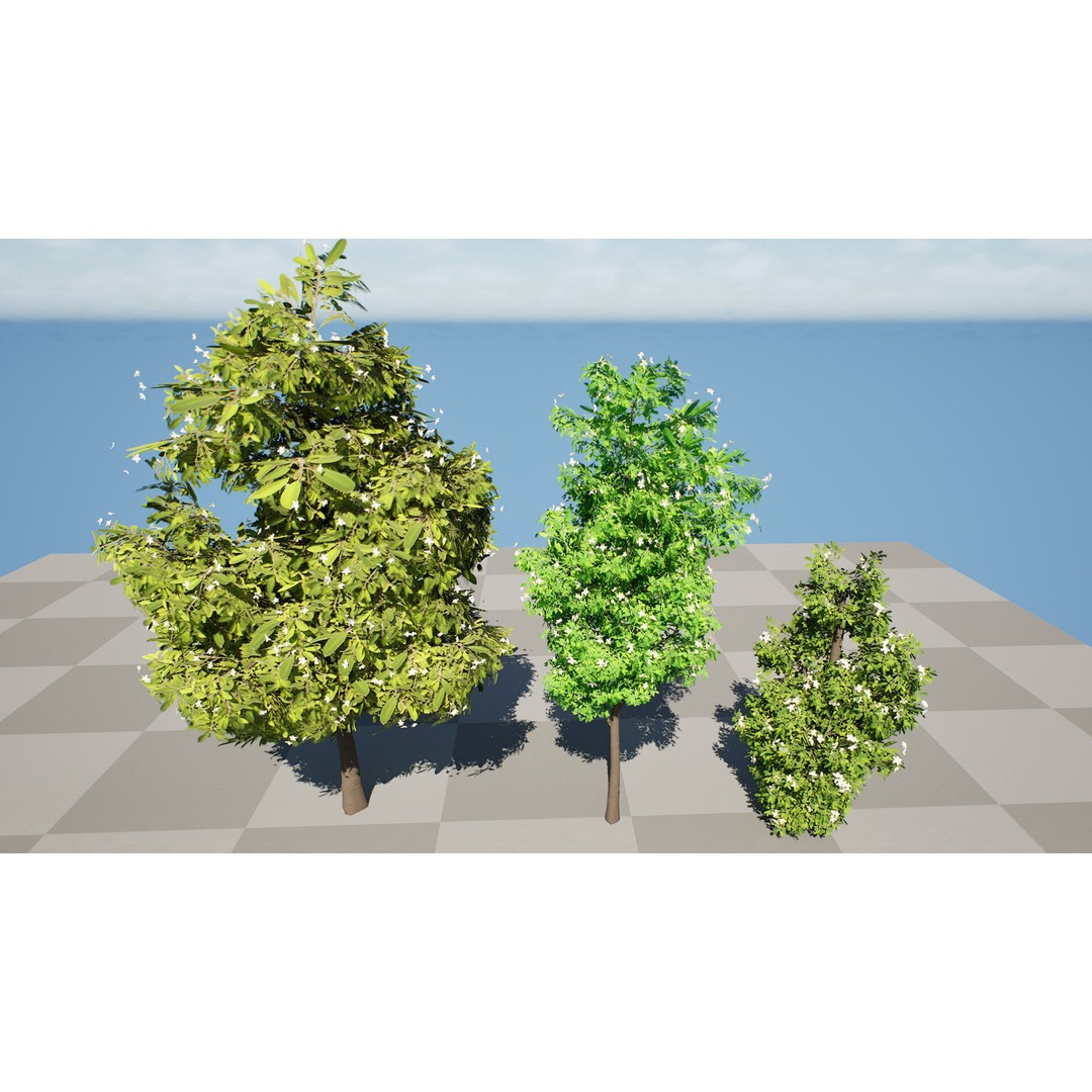Lemon Myrtle Tree 3D Model – Low Poly Game Asset, PBR, FBX, Blender - View 11