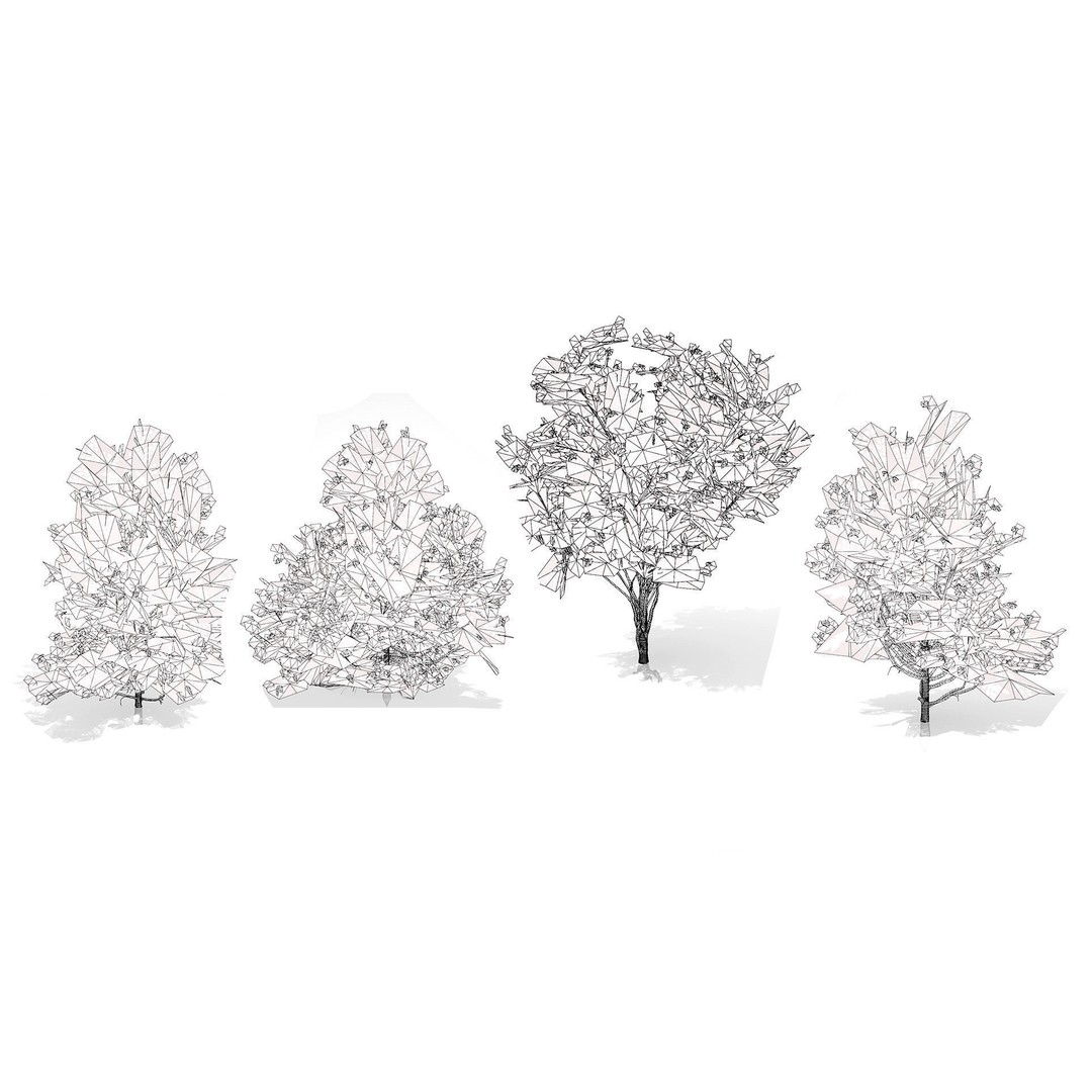 Japanese Privet 3D Model – Low Poly Evergreen Shrub for Games, FBX