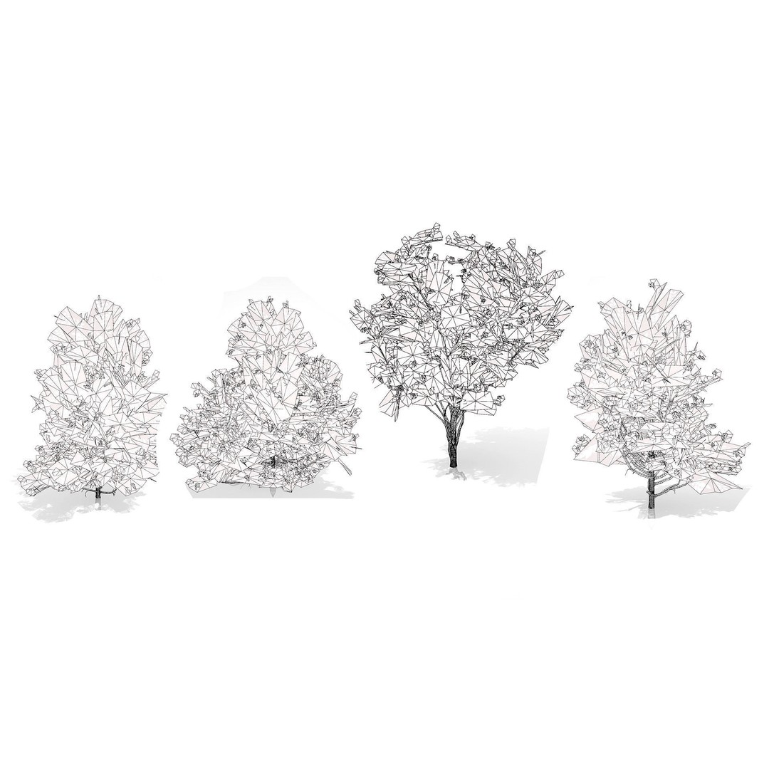 Japanese Privet 3D Model – Low Poly Evergreen Shrub for Games, FBX - View 10