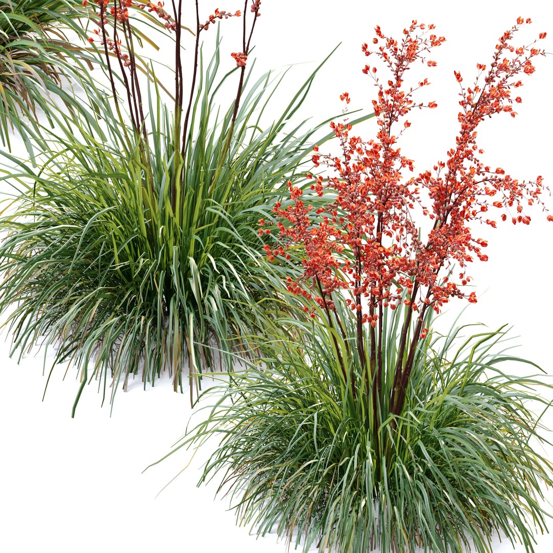 Hesperaloe Parviflora 3D Model – Realistic Plant Asset, FBX, PBR Textures - View 3