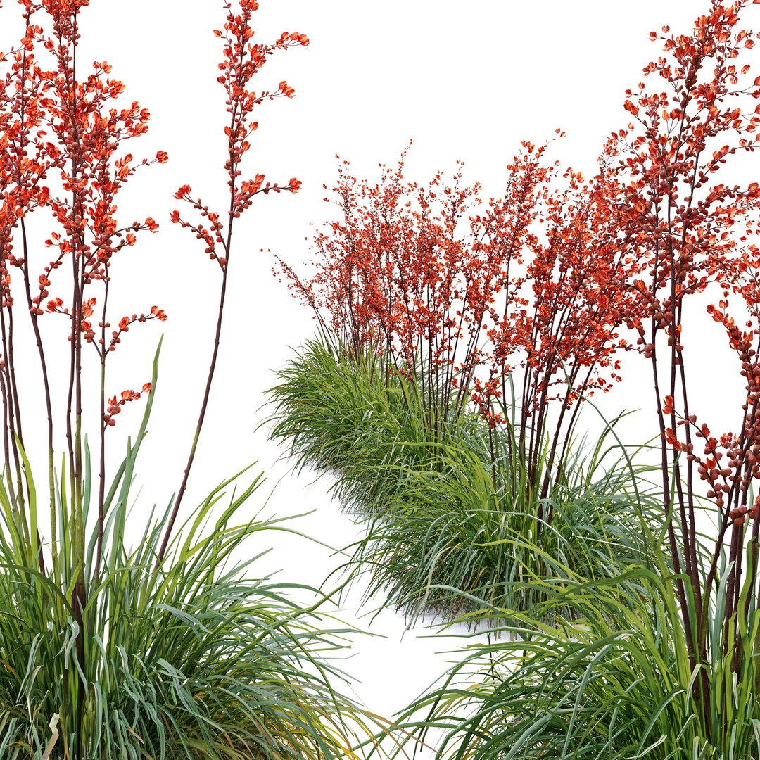 Hesperaloe Parviflora 3D Model – Realistic Plant Asset, FBX, PBR Textures - View 4