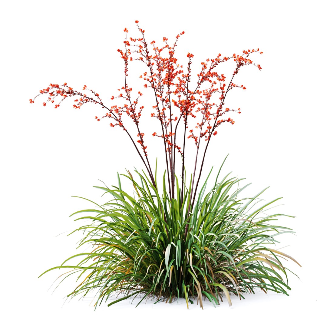 Hesperaloe Parviflora 3D Model – Realistic Plant Asset, FBX, PBR Textures - View 5