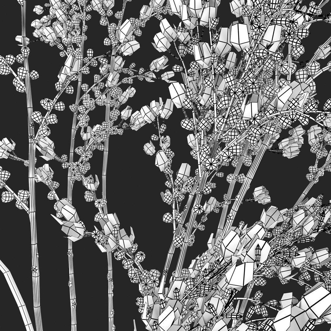 Hesperaloe Parviflora 3D Model – Realistic Plant Asset, FBX, PBR Textures - View 8