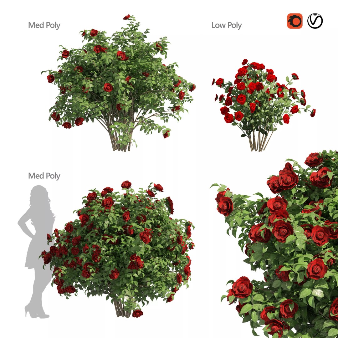 Red Rose Flower Bush 3D Model – Low Poly Game Asset, FBX, OBJ - View 2