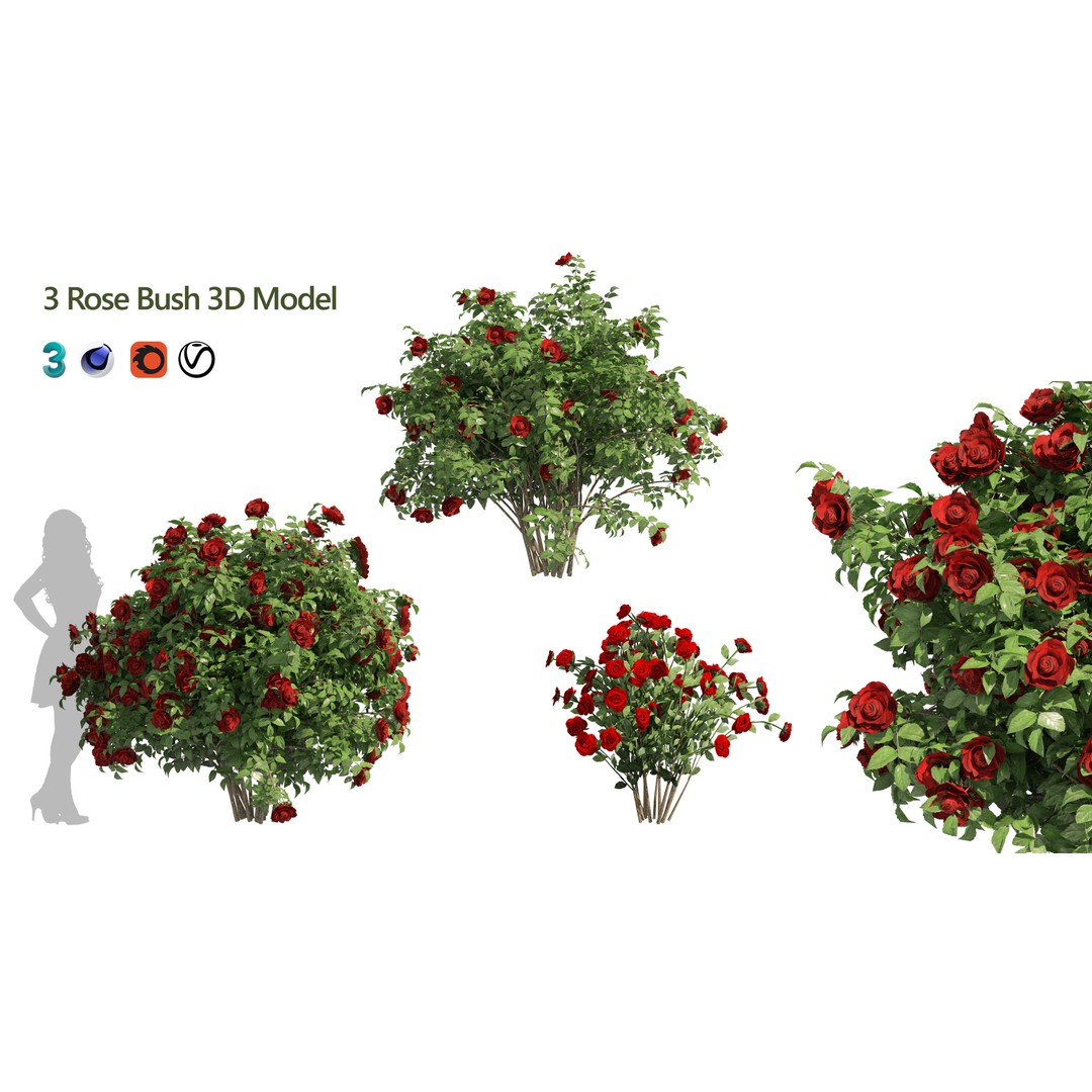 Red Rose Flower Bush 3D Model – Low Poly Game Asset, FBX, OBJ - View 7